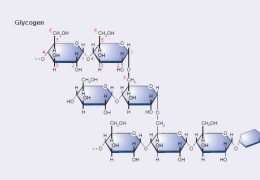 تست های کنکور ۹۰ تا ۹۵: فصل مولکول های زیستی